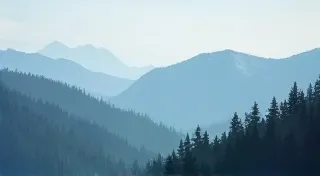 Creating a Simple Landscape in Sumie: A Complete Project